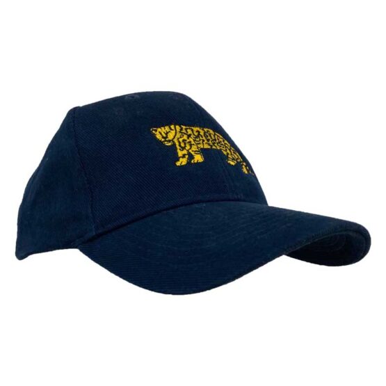ARGENTINA RUGBY CAP, PUMAS - Afbeelding 2