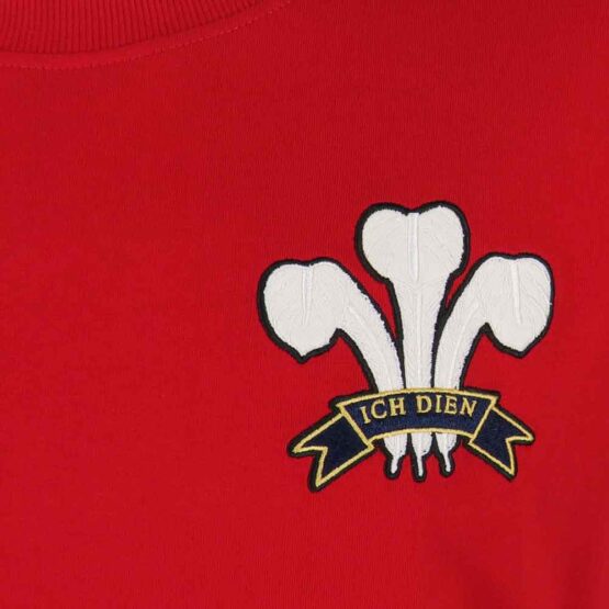 Wales Vintage Rugby - Afbeelding 4