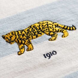 Argentina Pumas