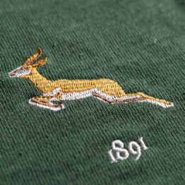 South Africa Springboks