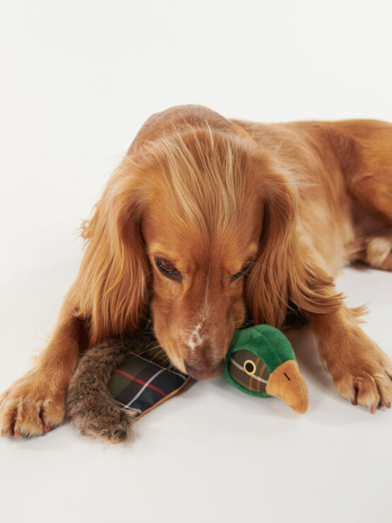 Barbour Dog Pheasant Toy - Afbeelding 3