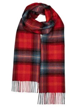 Darwin Lochcarron Ruby Oversized Lambswool Scarf