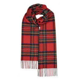 Darwin Stewart Royal Modern Oversized Lambswool Scarf