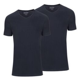 T-shirt Basic Fit v-hals, 2 pack
